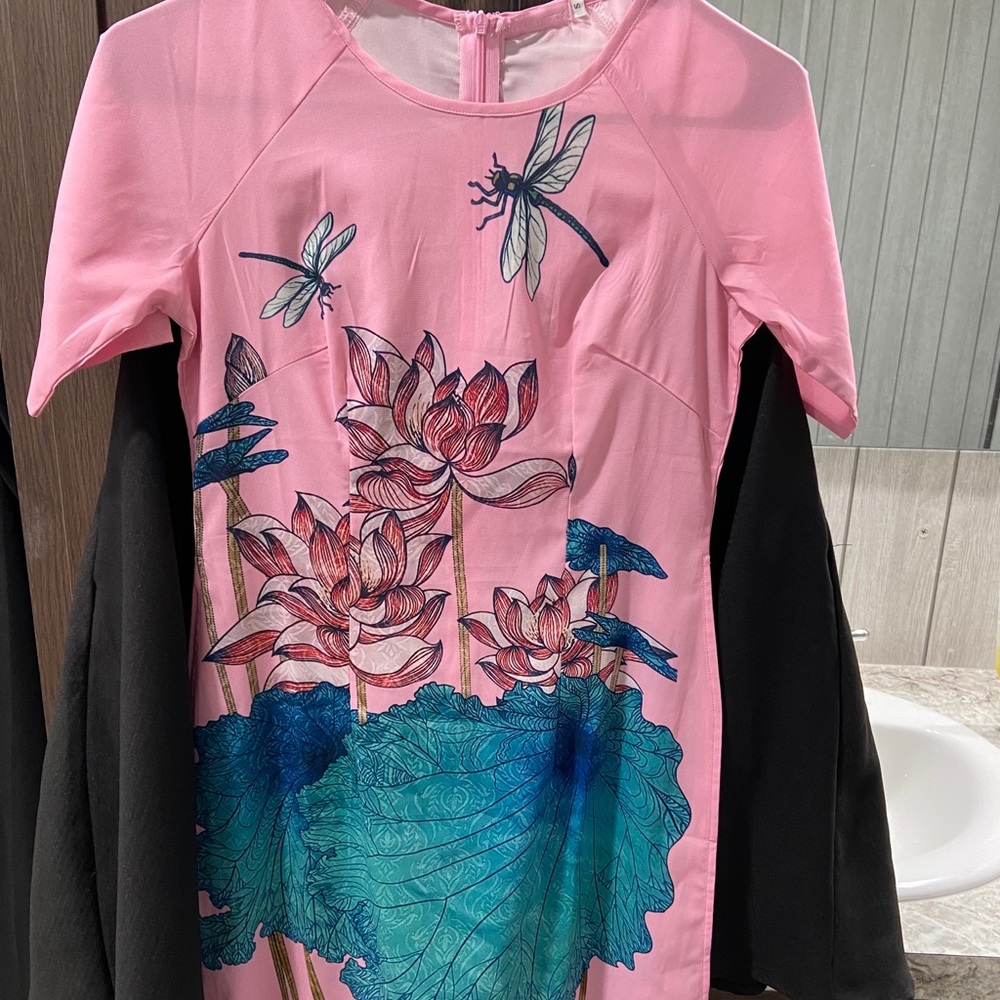 Vietnamese Lunar traditional Dress (Ao Dai)